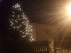 Lipová ulice, vánoční strom
